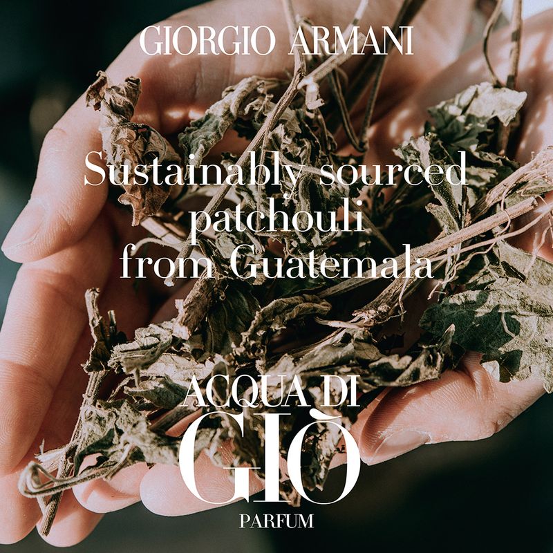 Perfume-Giorgio-Armani-Acqua-Di-Gio-Masculino-Parfum-75-ml-Elementos-1