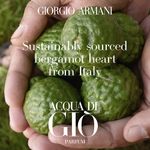 Perfume-Giorgio-Armani-Acqua-Di-Gio-Masculino-Parfum-125-ml-Elementos