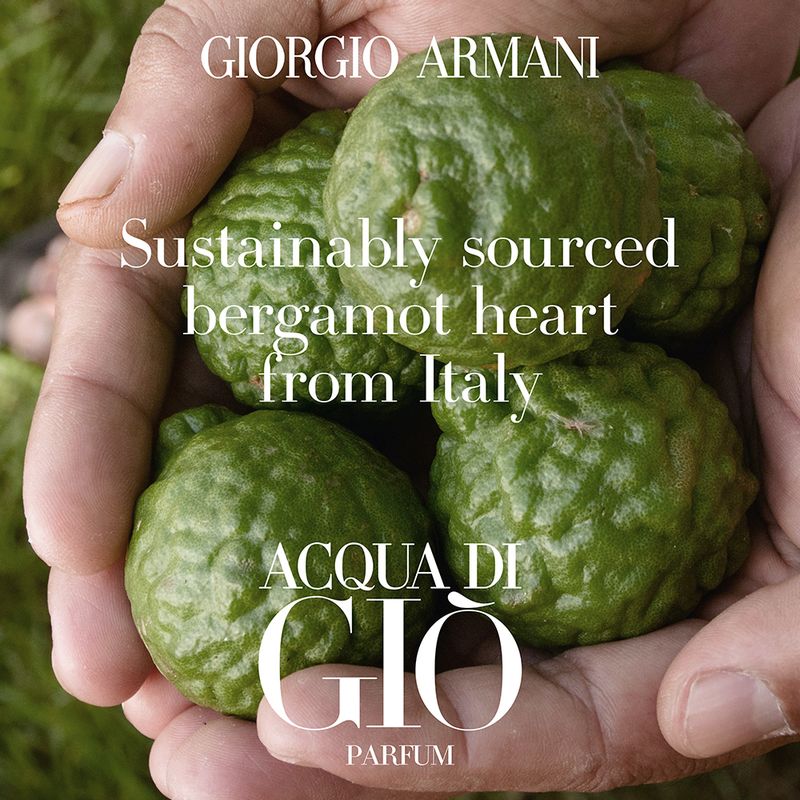 Perfume-Giorgio-Armani-Acqua-Di-Gio-Masculino-Parfum-125-ml-Elementos