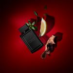 Perfume-Banderas-The-Secret-Flame-Masculino-Eau-de-Toilette-100-ml-Ambientada-Elementos