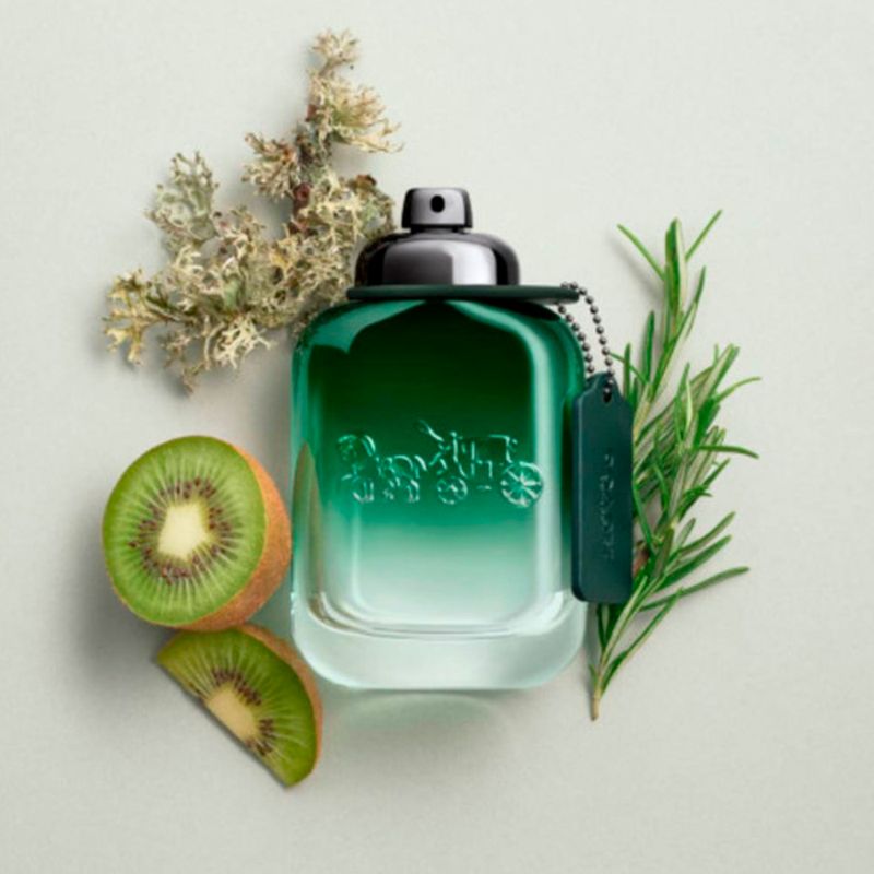 Perfume-Coach-Green-Masculino-Eau-de-Toilette-100-ml-Elementos