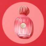 Perfume-Banderas-The-Icon-Splendid-Feminino-Eau-de-Parfum-50-ml