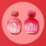 Perfume-Banderas-The-Icon-Splendid-Feminino-Eau-de-Parfum-50-ml