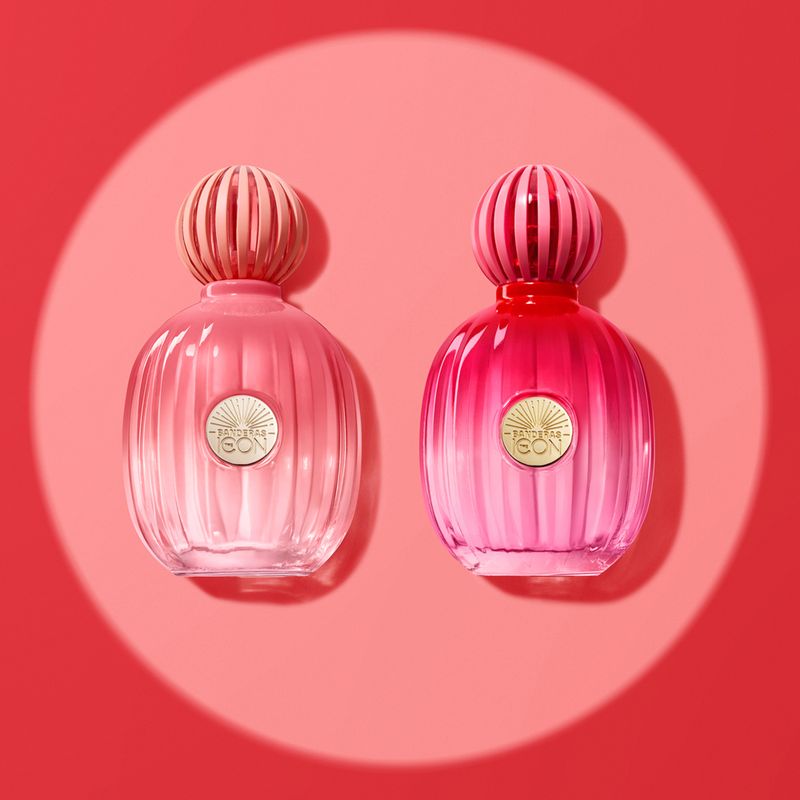 Perfume-Banderas-The-Icon-Splendid-Feminino-Eau-de-Parfum-50-ml