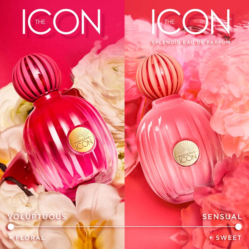Perfume-Banderas-The-Icon-Splendid-Feminino-Eau-de-Parfum-50-ml