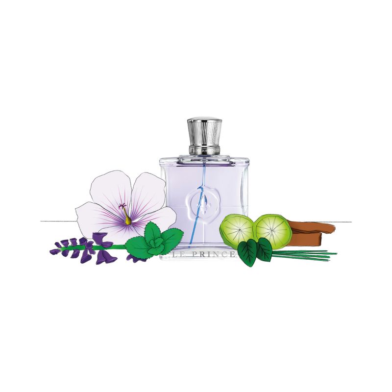 Perfume-Marina-De-Bourbon-Le-Prince-Elegante-Eau-de-Parfum-Masculino-100ml