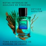 Perfume-David-Beckham-True-Instinct-Eau-de-Parfum-Masculino-50ml