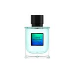 Perfume-David-Beckham-True-Instinct-Eau-de-Parfum-Masculino-75ml