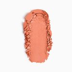 INGLOT-RADIANT-SKIN-BLUSH-INGLOT-21-25G
