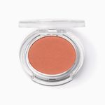 INGLOT-RADIANT-SKIN-BLUSH-INGLOT-29-2G
