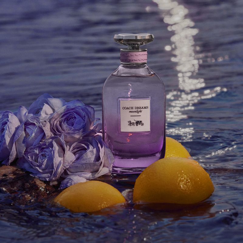 Perfume-Coach-Dreams-Moonlight-Eau-de-Parfum-Feminino-40-ml
