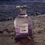 Perfume-Coach-Dreams-Moonlight-Eau-de-Parfum-Feminino-90-ml