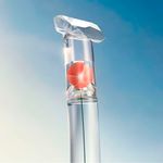 Perfume-Kenzo-Flower-By-Kenzo-Feminino-Eau-de-Toilette-30-ml