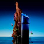 Perfume-Kenzo-Homme-Santal-Marin-Masculino-Eau-de-Toilette-110-ml