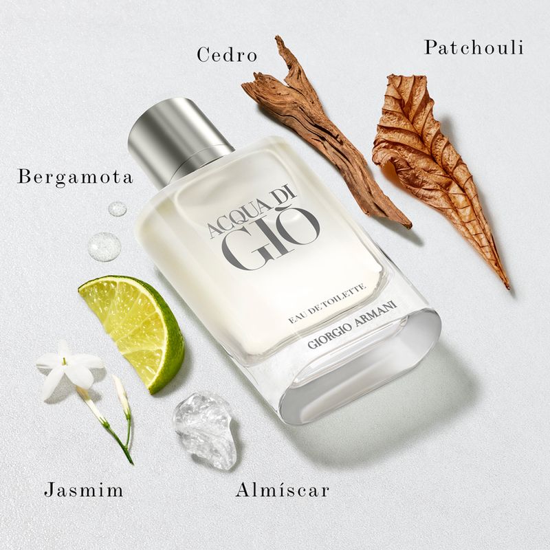 Perfume-Giorgio-Armani-Acqua-Di-Gio-Homme-Masculino-Eau-de-Toilette-200-ml
