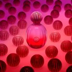 Perfume-Banderas-The-Icon-Supreme-Feminino-Eau-de-Parfum-Intense-for-Women-100-ml