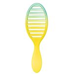 Escova-De-Cabelo-Speed-Dry-Ombre-Verde-Azul-Wetbrush