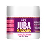 WIDI-CARE-JUBA-TRANSICAO-CAPILAR-SHAMPOO-500ML-CONDICIONADOR-500ML-MASCARA-ACAO-CONDICIONANTE-500G