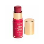 NIINA-SCRT-BLUSH-STICK-DAIL-MALVA-5g-B2B
