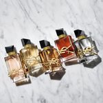 Perfume-Yves-Saint-Lauren-Libre-Le-Parfum-Feminino-Eau-de-Parfum-30-ml-F5