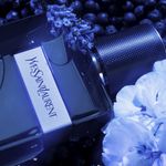 Perfume-Yves-Saint-Laurent-Y-Intense-Masculino-Eau-de-Parfum-60-ml-F8