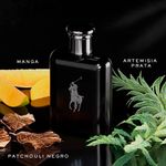 Perfume-Ralph-Lauren-Polo-Black-Masculino-Eau-de-Toilette-200-ml