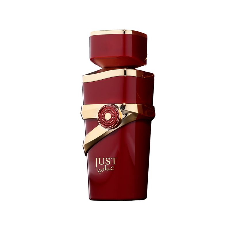 FW-JUST-ANABI-EDP-100ML