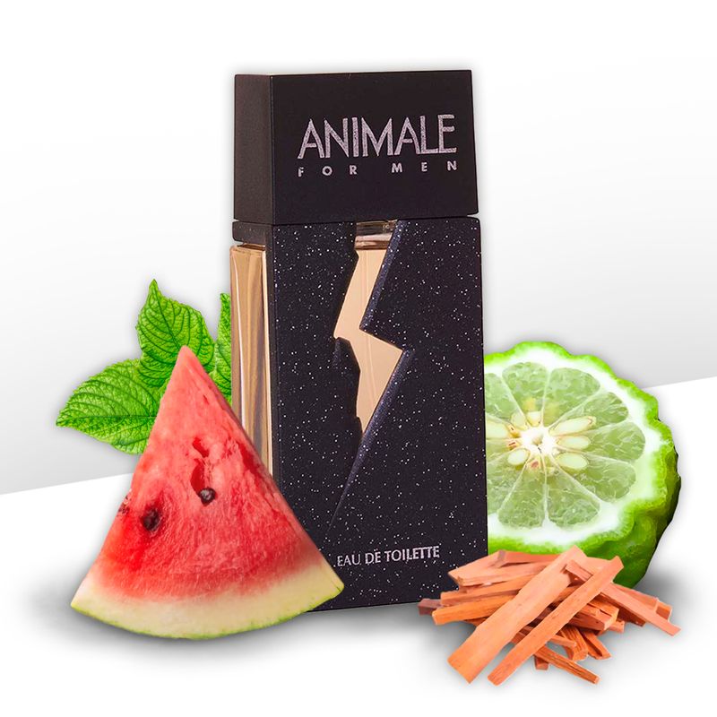 Perfume-Animale-For-Men-Masculino-Eau-de-Toilette-100ml