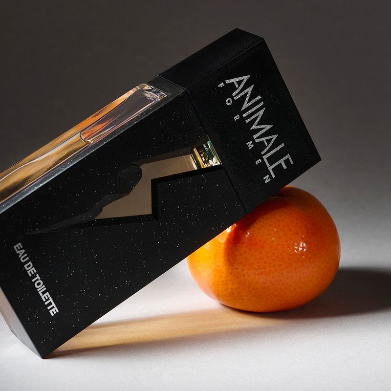Perfume-Animale-For-Men-Masculino-Eau-de-Toilette-100ml