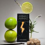 Perfume-Animale-Animale-For-Men-Masculino-Eau-de-Toilette-200ml