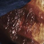 F8
