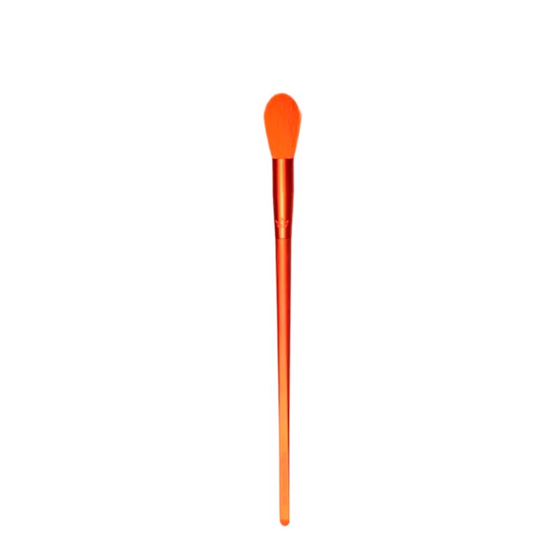F1